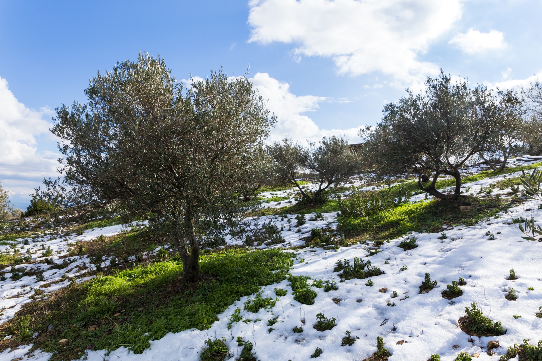 Kreta