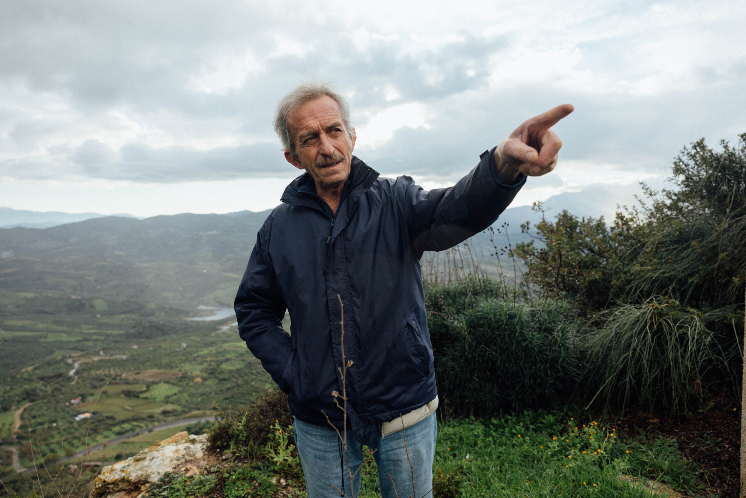 Welk land heeft de beste olijfolie?