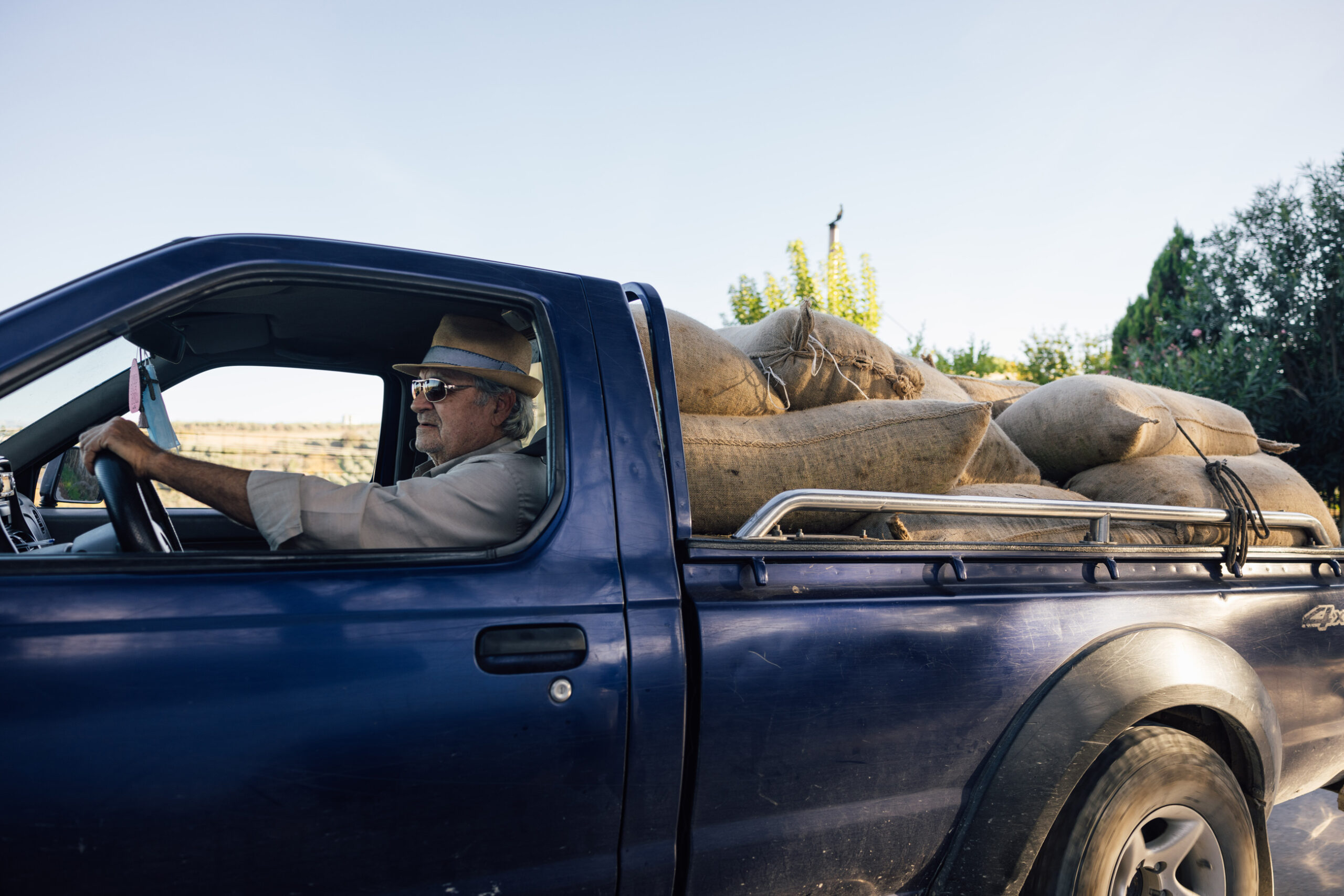 pomace olijfolie ongezond