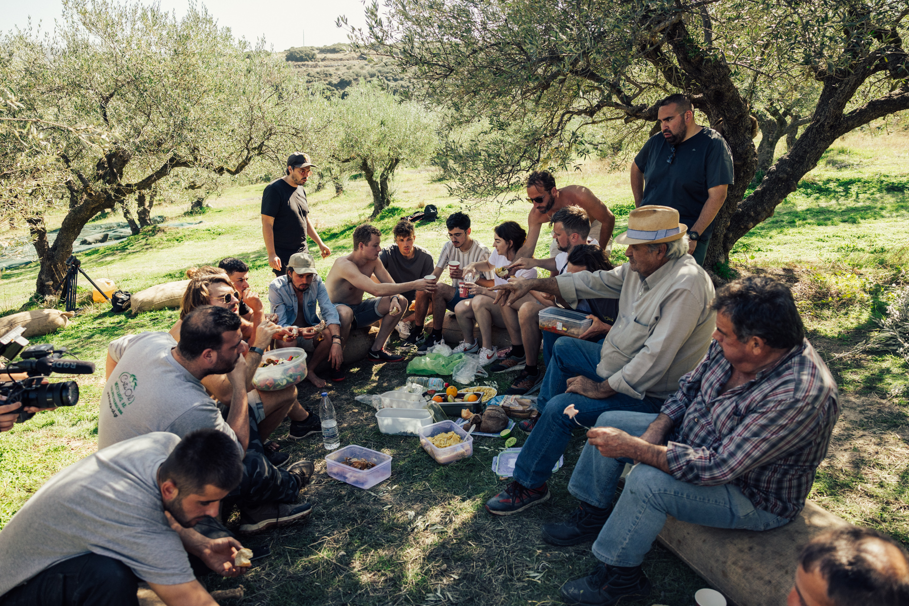 Welk land heeft de beste olijfolie?